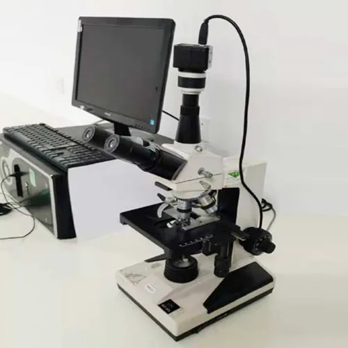 Microscope électronique